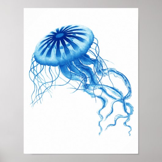 Blue Jellyfish Vintag Art Print No.3 Beach Deco Poster (Vorne)