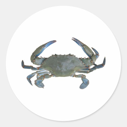 Blue "Jimmy" Crab Runder Aufkleber (Vorderseite)
