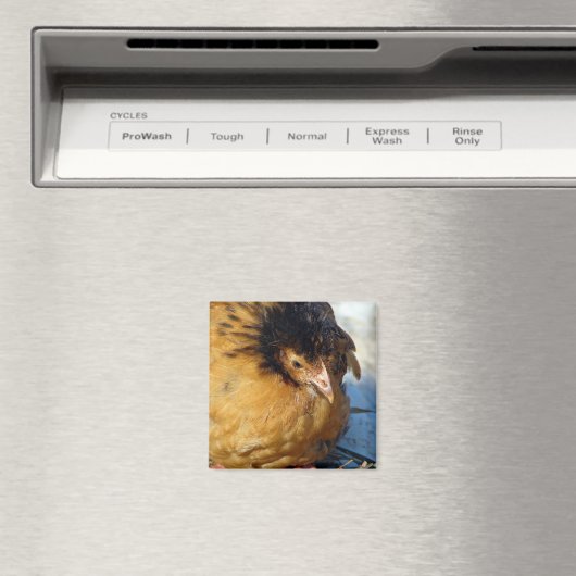 Blue Jr Magnet (In Situ (Geschirrspüler))