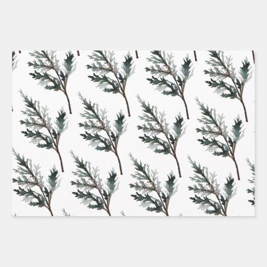 Blue Juniper & Cedar Tree Branch Winter Greenery Geschenkpapier Set (Vorderseite)