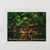 Blue Kalkstein Park Delaware, Ohio Postkarte (Vorne/Hinten)