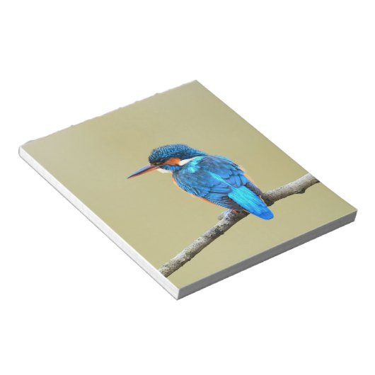 Blue Kingfisher Bird Notizblock (angewinkelt)