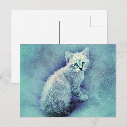 Blue Kitten | ABSTRAKT | Wasserfarbe Postkarte (Vorne/Hinten)