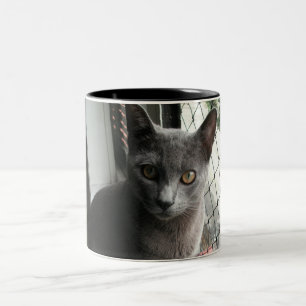 Blue kitty mug zweifarbige tasse