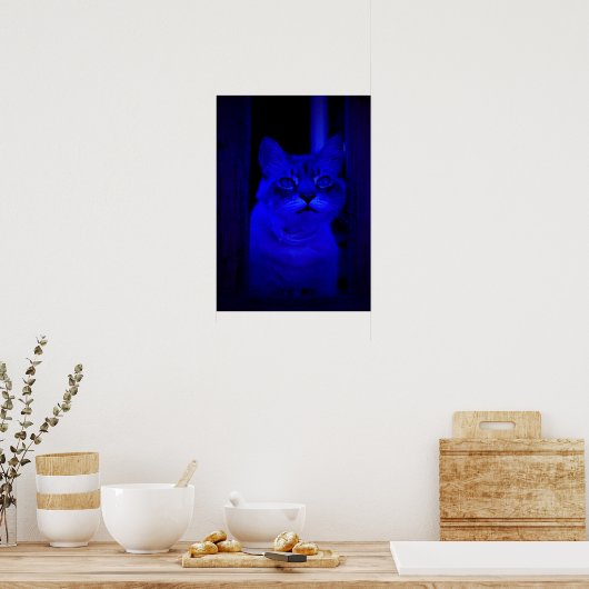 Blue Kitty Poster (Küche)
