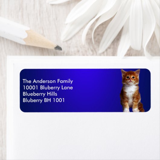 Blue Label Rücksendeadresse Ginger Cat (Insitu)