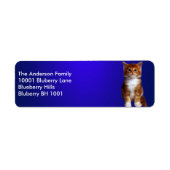 Blue Label Rücksendeadresse Ginger Cat (Vorne)