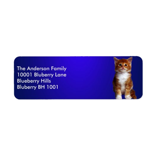 Blue Label Rücksendeadresse Ginger Cat (Vorne)