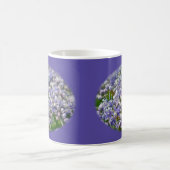 Blue Lace Cap Hydrangea Blume Kaffeetasse (Mittel)