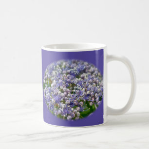 Blue Lace Cap Hydrangea Blume Kaffeetasse