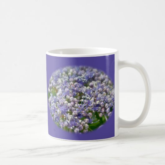 Blue Lace Cap Hydrangea Blume Kaffeetasse (Rechts)