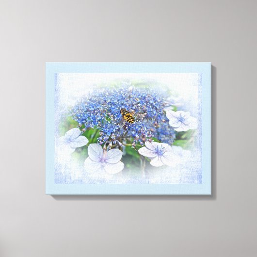 Blue Lace Cap Hydrangea Blume Leinwanddruck (Vorderseite)