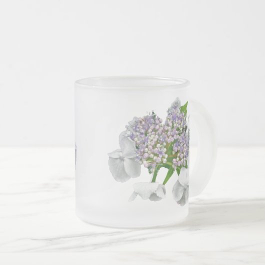 Blue Lace Cap Hydrangea Mattglastasse (VorderseiteRechts)