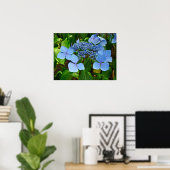 Blue Lace-Cap Hydrangea - Poster (Heimbüro)