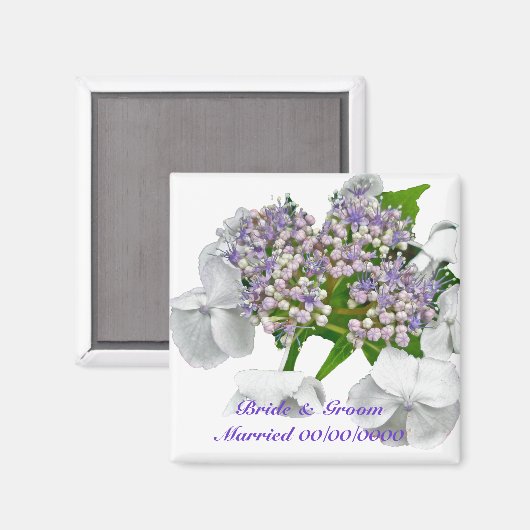 Blue Lace Hydrangea Wedding Magnet (Vorderseite/Rückseite)