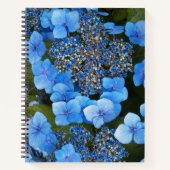 Blue Lacecap Hydrangea Bläschen-Notebook Notizblock (Vorderseite)