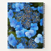 Blue Lacecap Hydrangea Bläschen-Notebook Notizblock (Rückseite)