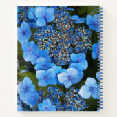 Blue Lacecap Hydrangea Bläschen-Notebook Notizblock (Rückseite)