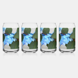 Blue Lacecap Hydrangea Bloom Floral Dosenglas