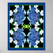 Blue Lacecap Hydrangea Blume Nah Abstrakt Poster (Vorne)