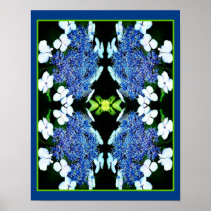 Blue Lacecap Hydrangea Blume Nah Abstrakt Poster