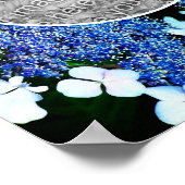 Blue Lacecap Hydrangea Blume Rahmen hinzufügen Ihr Poster (Ecke)
