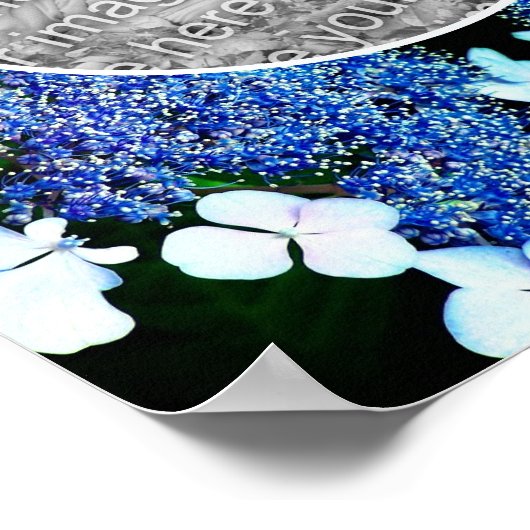 Blue Lacecap Hydrangea Blume Rahmen hinzufügen Ihr Poster (Ecke)