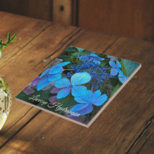 Blue Lacecap Hydrangea Floral Fliese