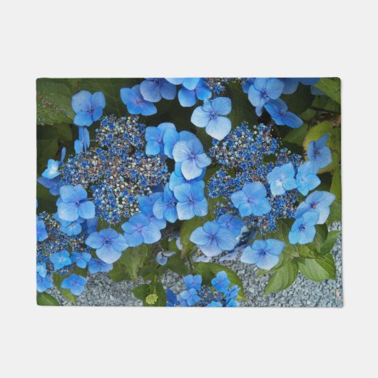 Blue Lacecap Hydrangea Floral Fußmatte (Vorderseite)