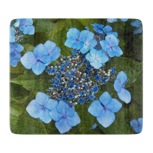 Blue Lacecap Hydrangea Floral Schneidebrett (Vorderseite)