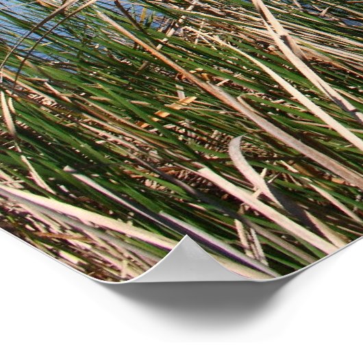 "Blue Lagoon" Poster (Ecke)