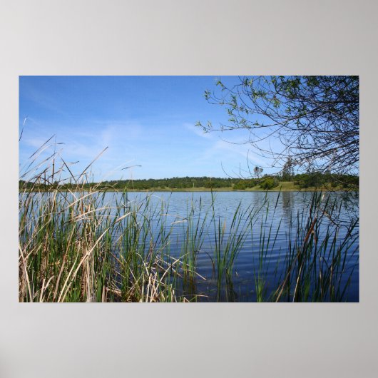 "Blue Lagoon" Poster (Vorne)