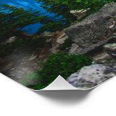 Blue Lake Rocky Mountain Pine Forest Poster (Ecke)