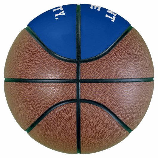Blue Lakehouse Basketball (Rechts)