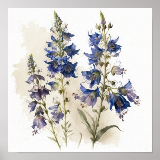 Blue Larkspur Blume Art Print Poster (Vorne)