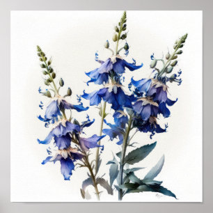 Blue Larkspur Blume Art Print Poster
