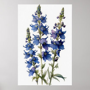 Blue Larkspur Blume Art Print Poster