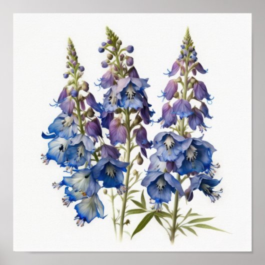 Blue Larkspur Blume Art Print Poster (Vorne)