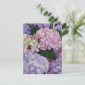 Blue Lavender Hydrangeas Postkarte (Stehend Vorderseite)
