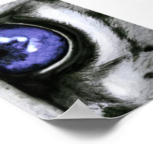 Blue Leopard Eye Poster (Ecke)