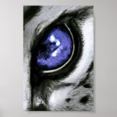 Blue Leopard Eye Poster (Vorne)