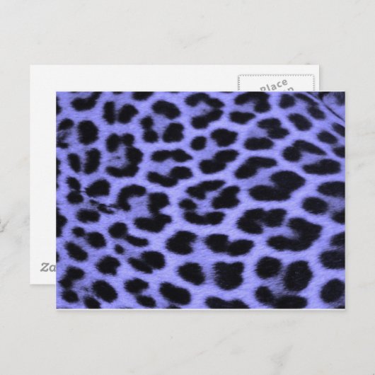 Blue Leopard Print Background Postkarte (Vorne/Hinten)