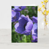 Blue Lila Anemone Floral Fotografy GC Karte (Gelbe Blume)