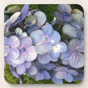 Blue Lila Hydrangea Getränkeuntersetzer