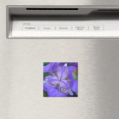 Blue Lila Iris Blume Magnet (In Situ (Geschirrspüler))