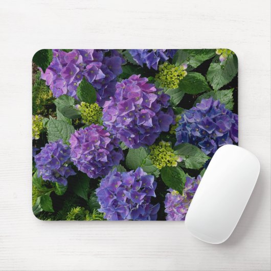 Blue lila magenta Hydrangeas Mousepad (Mit Mouse)