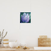 Blue Lila Tulip Fotografien Printwerbung Poster (Küche)