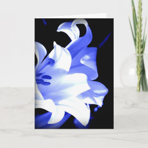 Blue Lilie Birthday card Karte