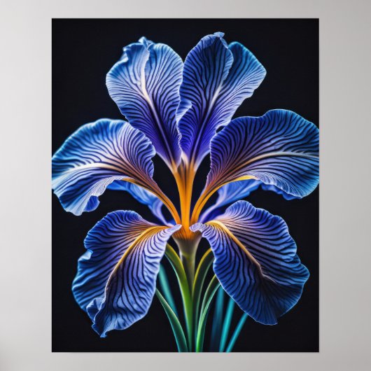 Blue Lily II Poster (Vorne)