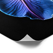 Blue Lily Poster (Ecke)